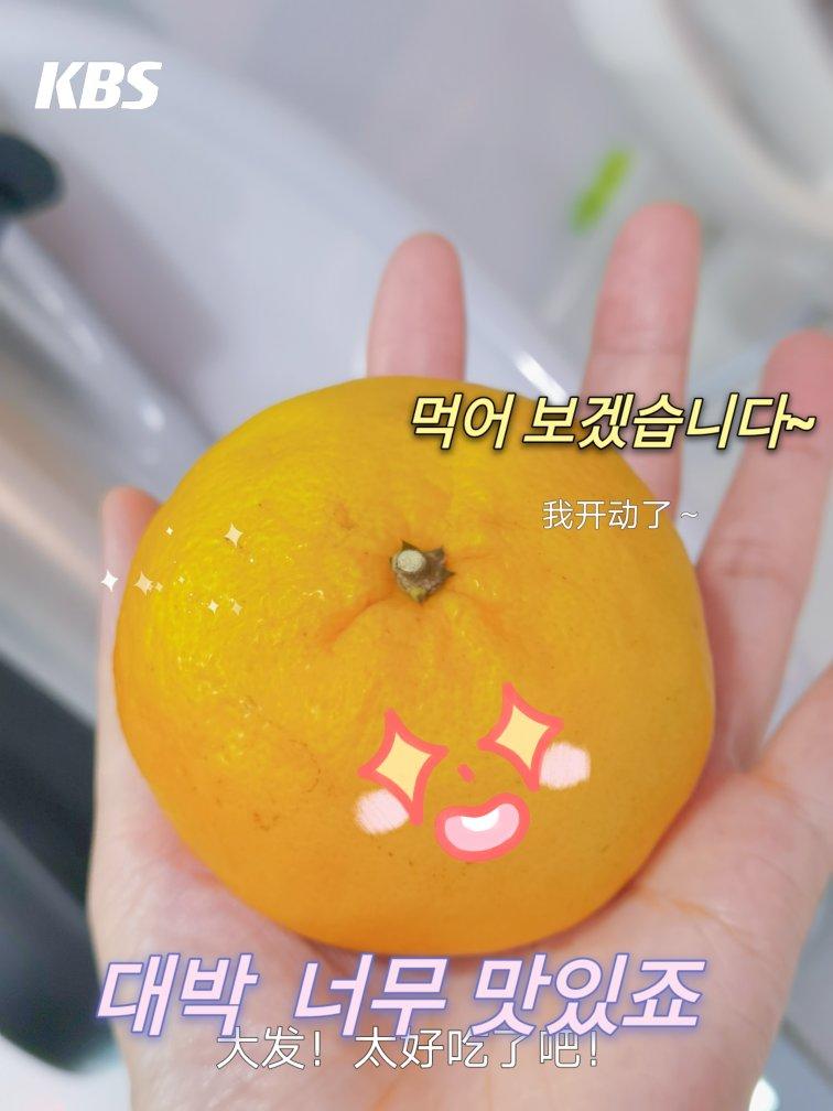 糖水橘子-小美版