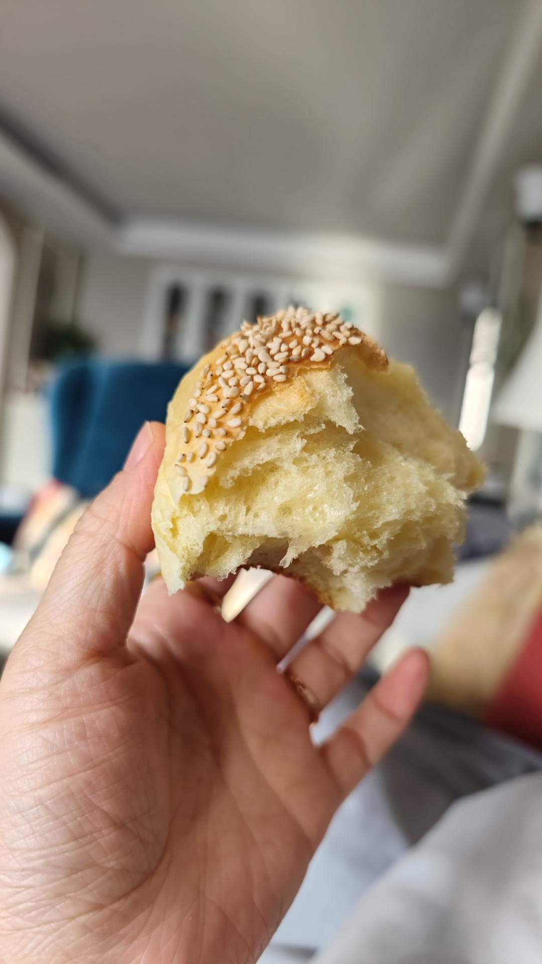 汉堡胚 poolish（波兰种）