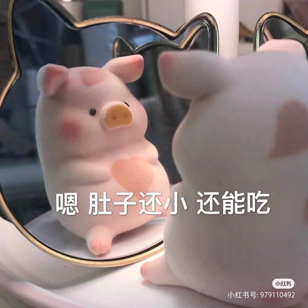卿之所悦