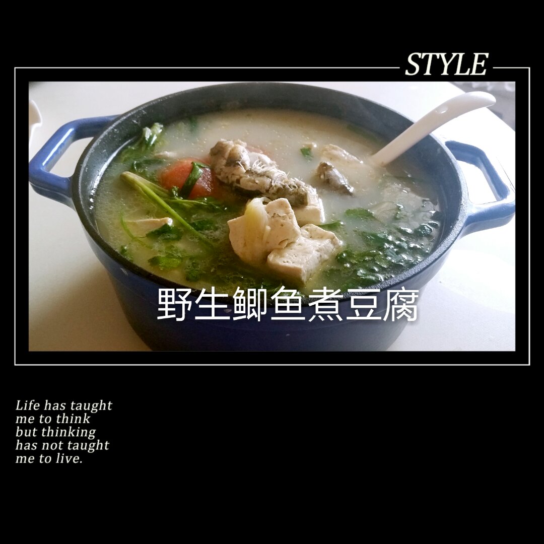 鲫鱼豆腐汤