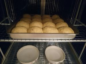 豆沙小餐包（软面包）的做法 步骤7