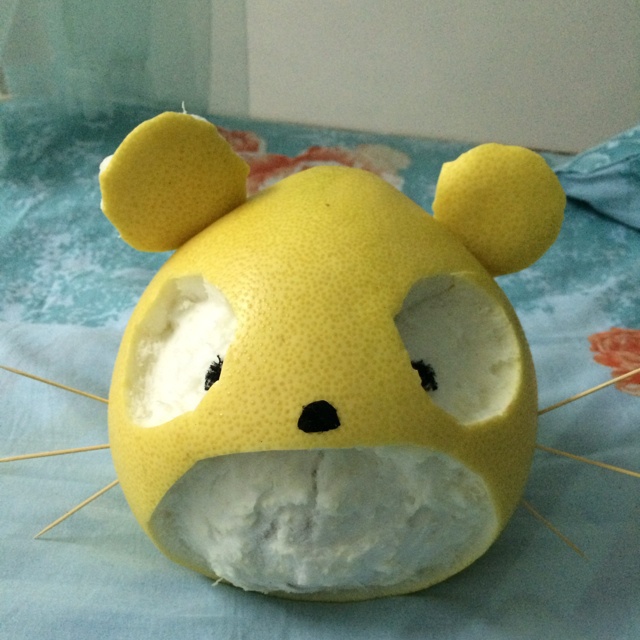 顽皮柚子龙猫