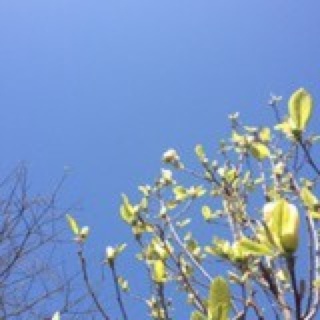 于茗又回来打渔了