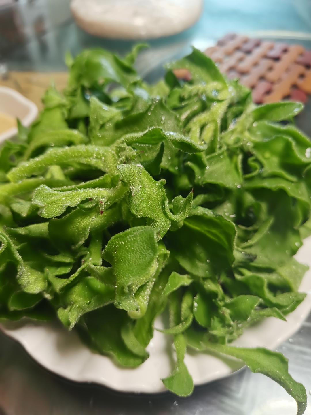 一掐二洗三拌就搞定的南非冰草