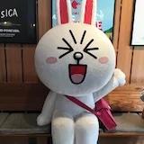 熊的烘培