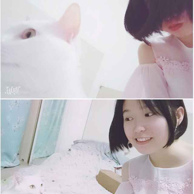 阿毛敏
