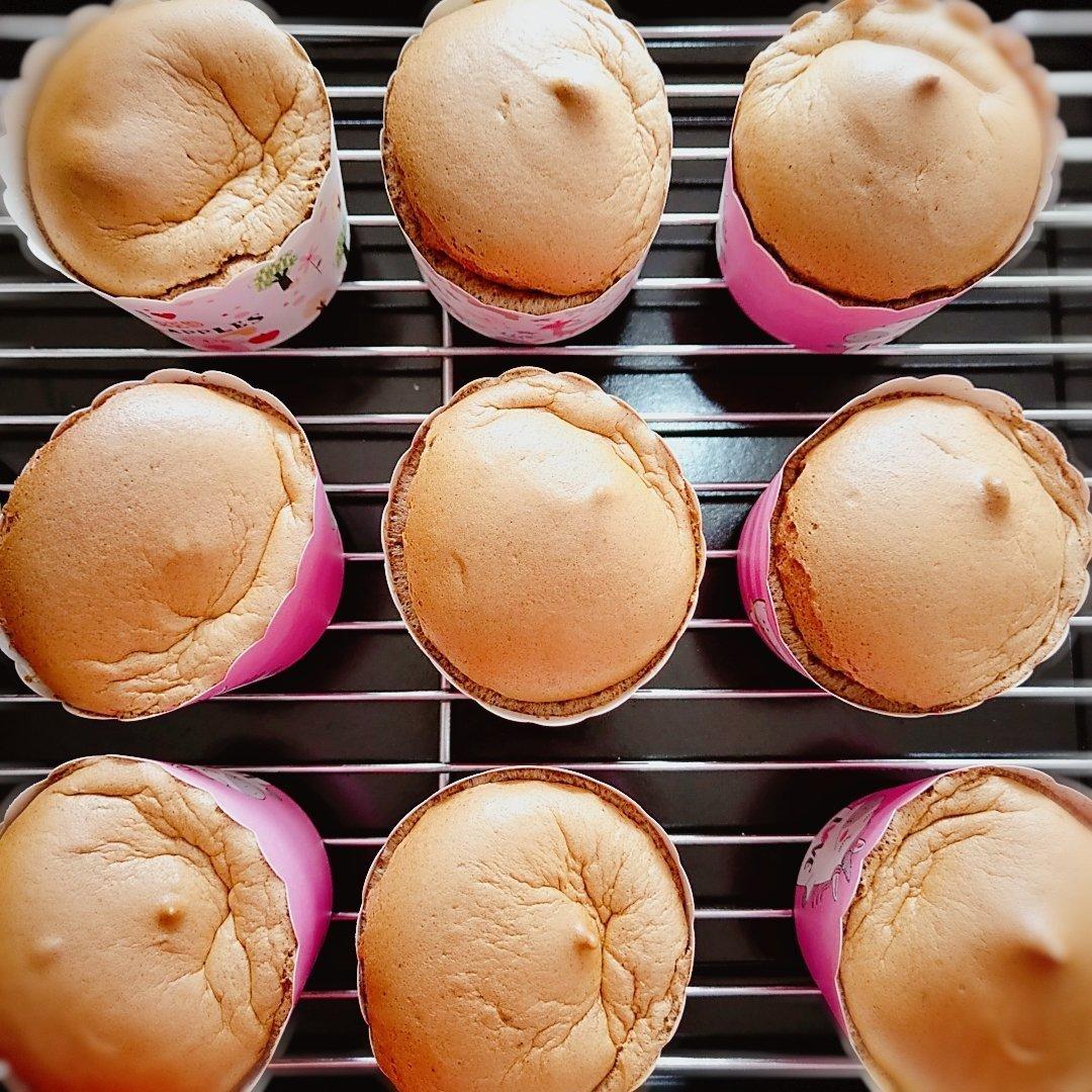 魔芋蛋糕～多味（超低卡）  无糖无油减脂甜品～低碳生酮戚风  无麸质