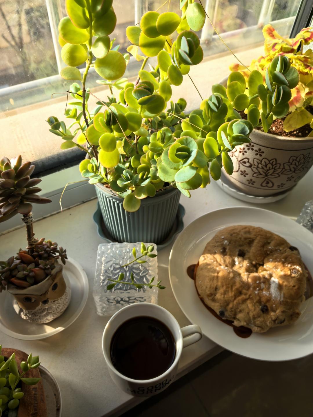 面包｜复刻ole法式忌廉芝士面包