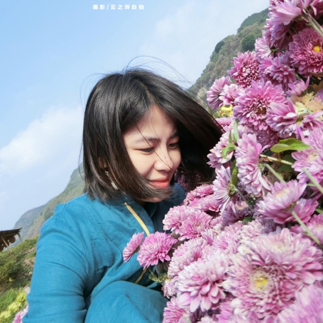 云之玲520
