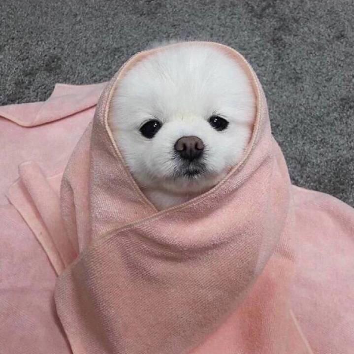 一口幸福的面包