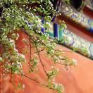 手机用户5931_v4ze