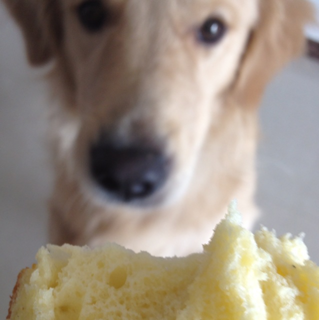 电饭煲版戚风蛋糕