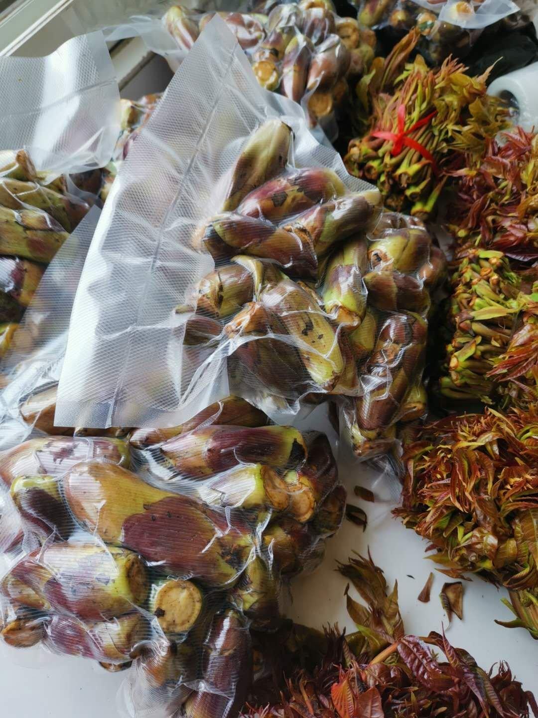 新鲜上市的野菜