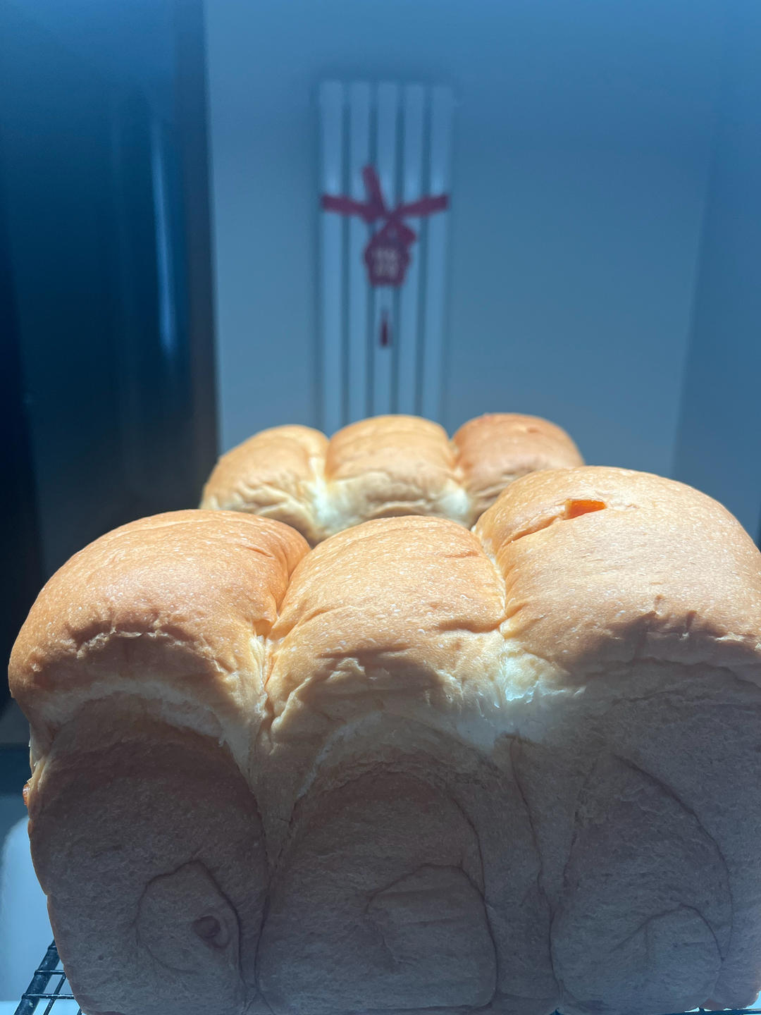 【北海道吐司】体验经典-妃娟100%中种，冷藏冰种的美味