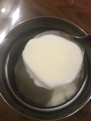 焖烧壶德运奶粉自制酸奶的做法 步骤5