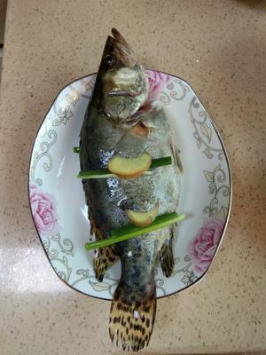 美味清蒸鱼（鳜鱼或鲈鱼）的做法 步骤15