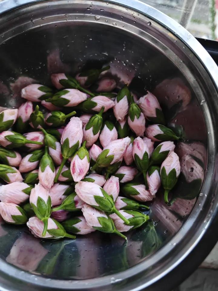 木槿花煎蛋