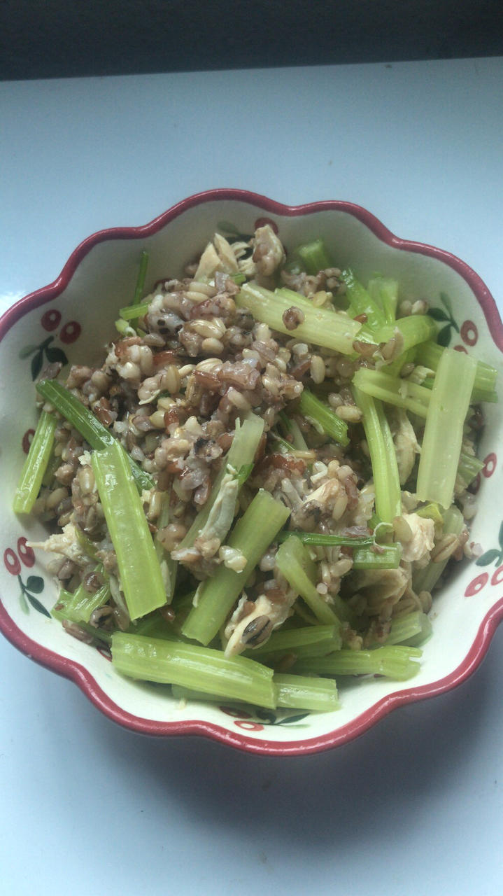 减肥期间饮食记录