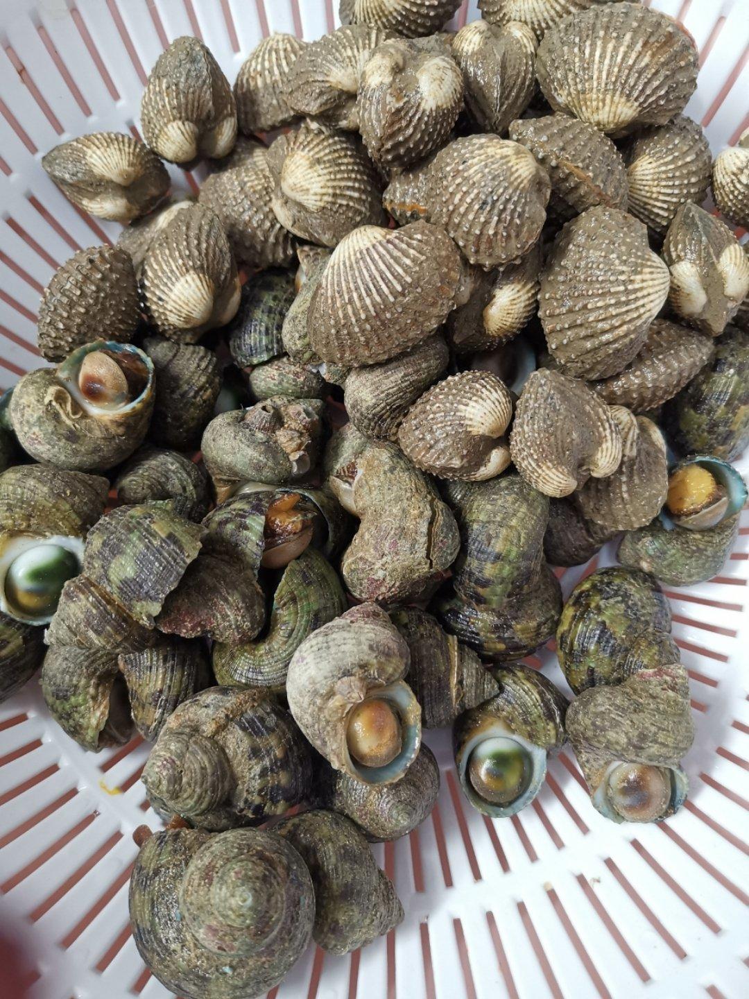 虾螺浴的全部作品