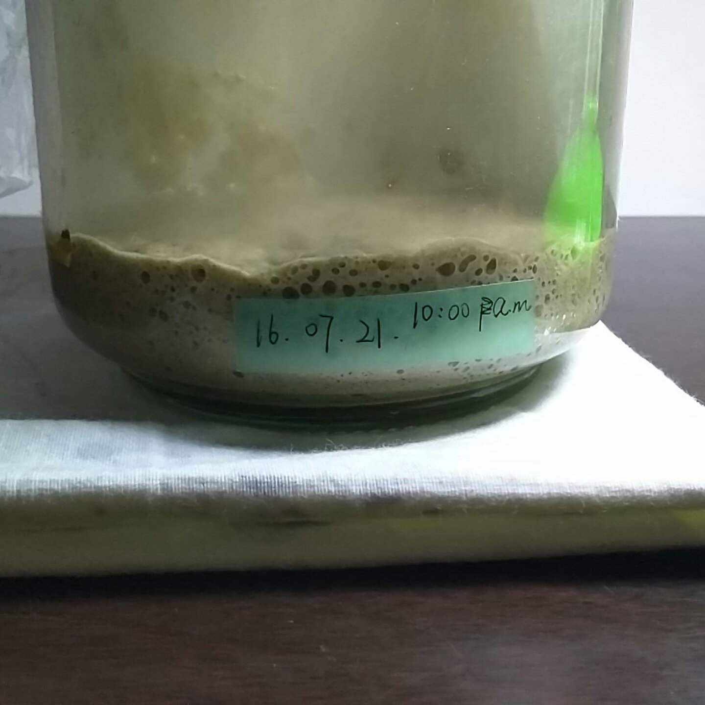 天然酵种养成记