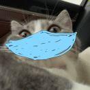 Hawaii的美食分享