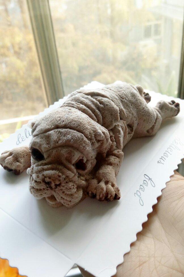 爱吃蜜饯的史努比做的网红沙皮狗慕斯蛋糕