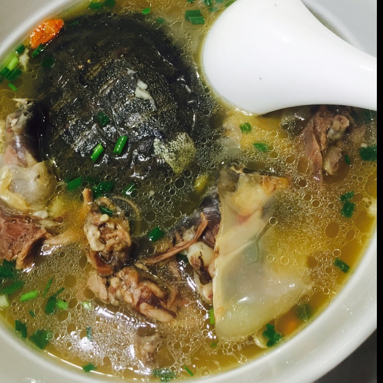 淘小淘eileen做的清炖野生甲鱼汤