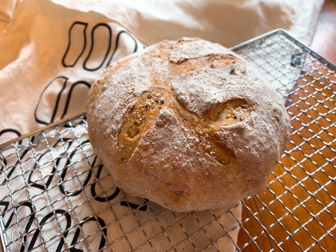 🍞免揉欧包新手入门指南（冷藏发酵、无油无糖）