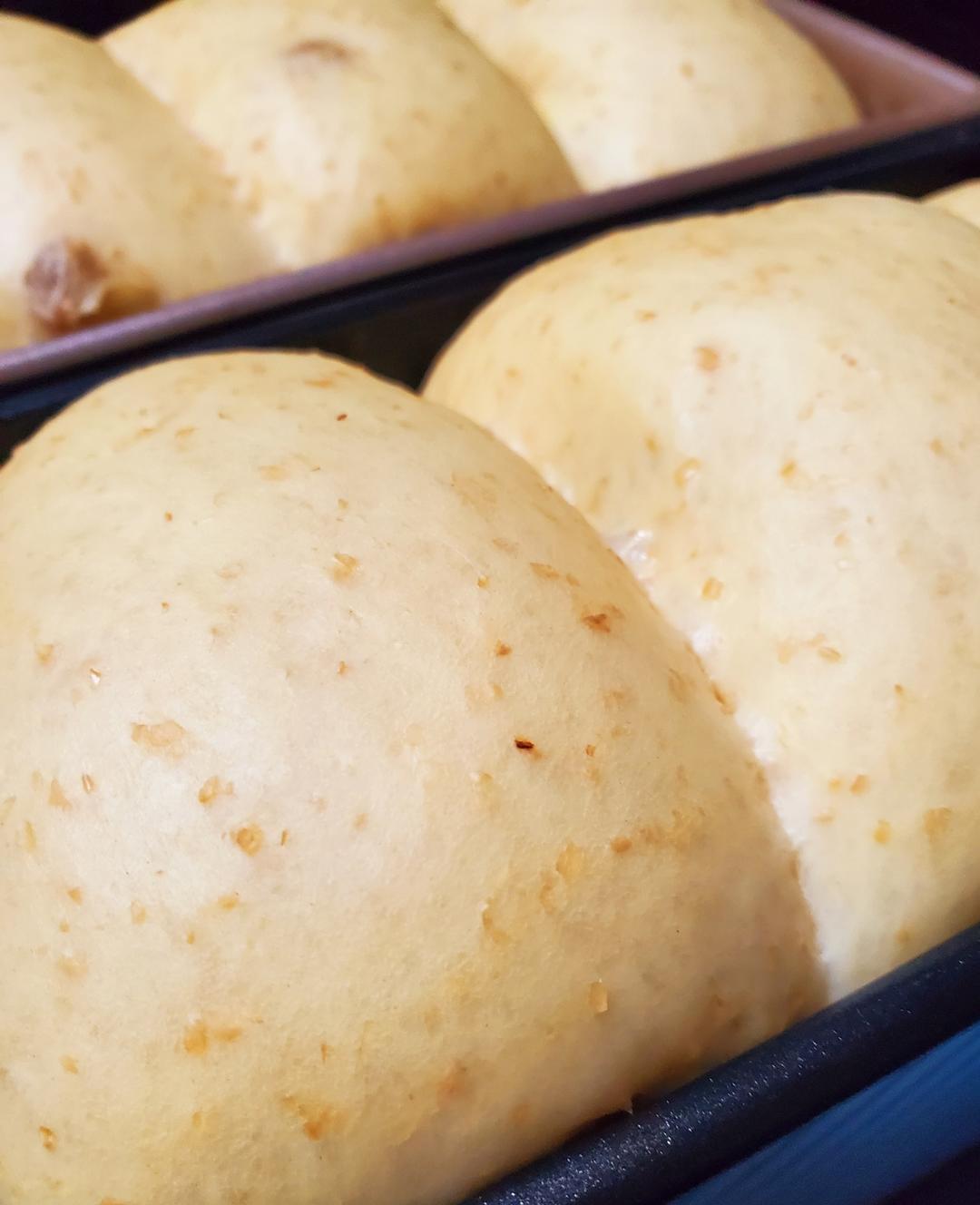 永远的100%中种吐司