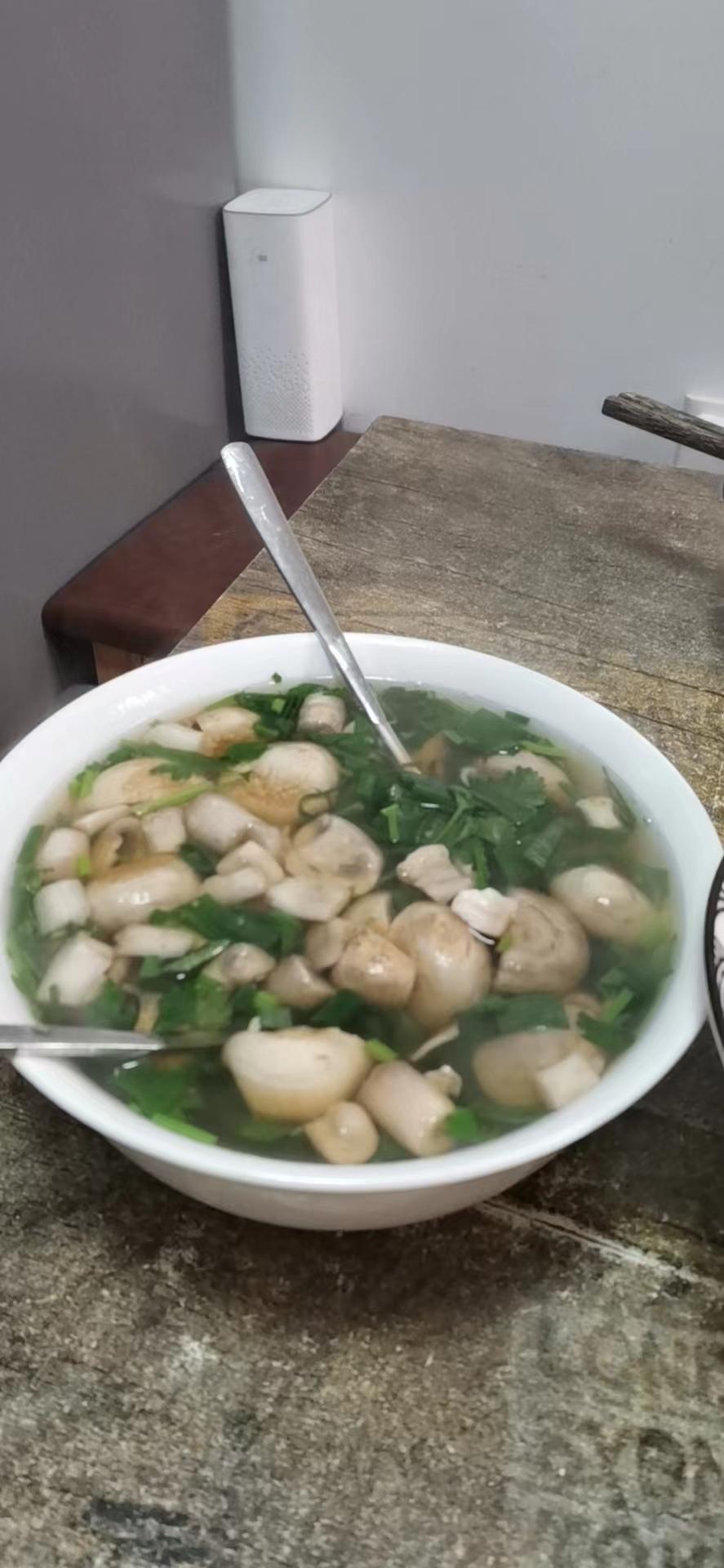 鲜掉眉毛口蘑汤