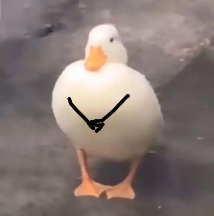 白菜肉丝年糕