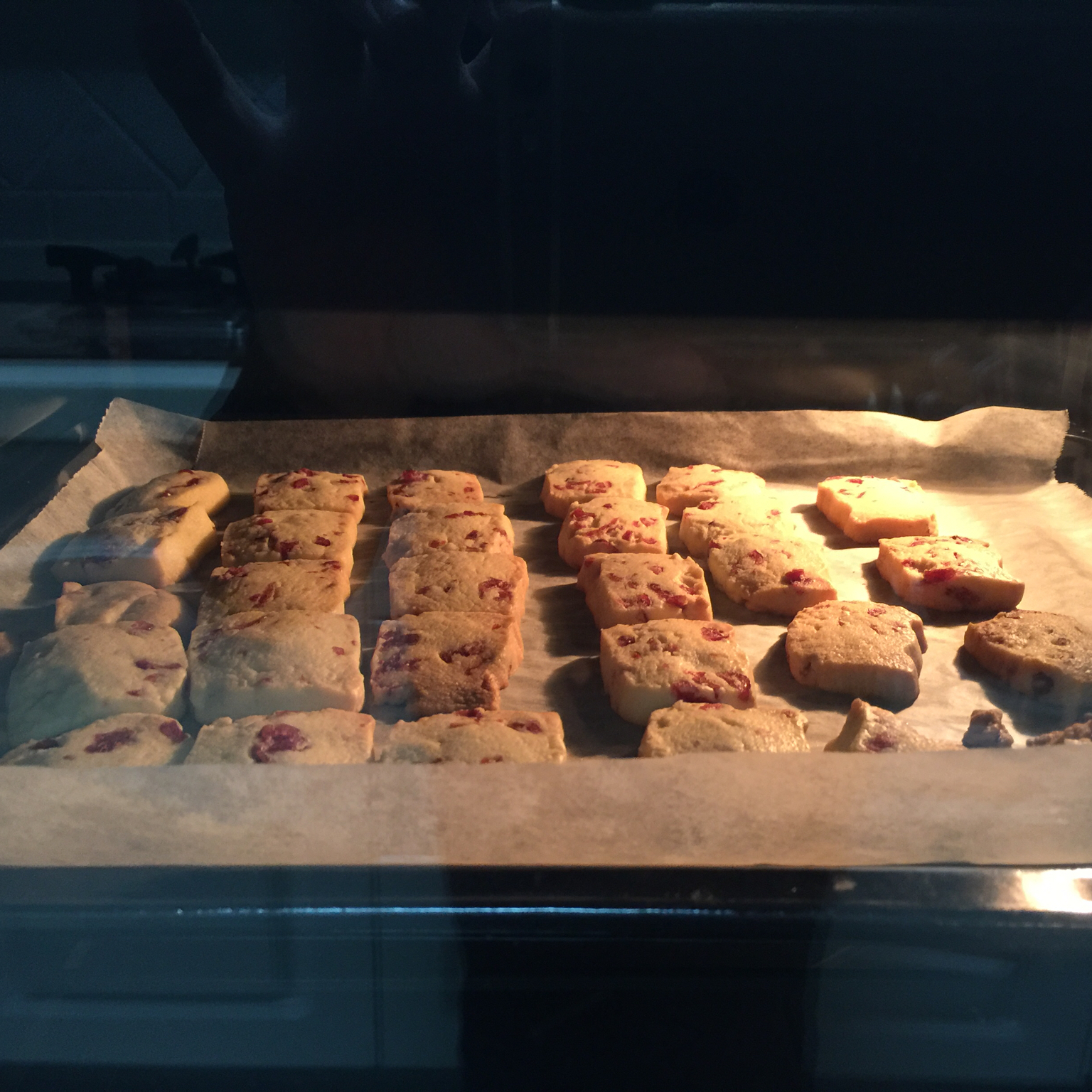 蔓越莓饼干 蔓越莓曲奇