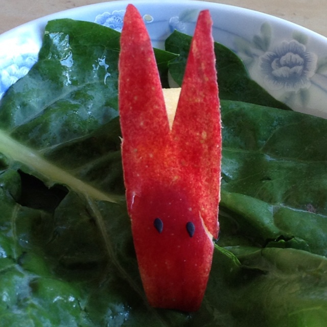 爱吃肉的小马驹做的兔子苹果