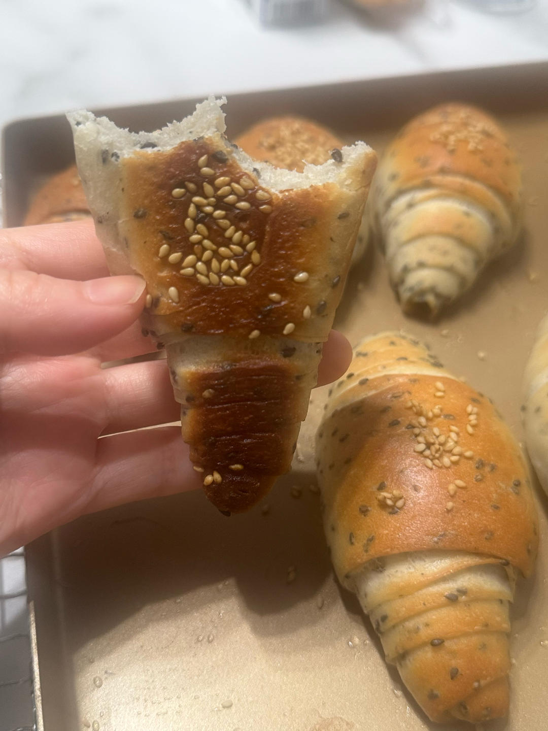 黑芝麻海盐卷/日式盐面包