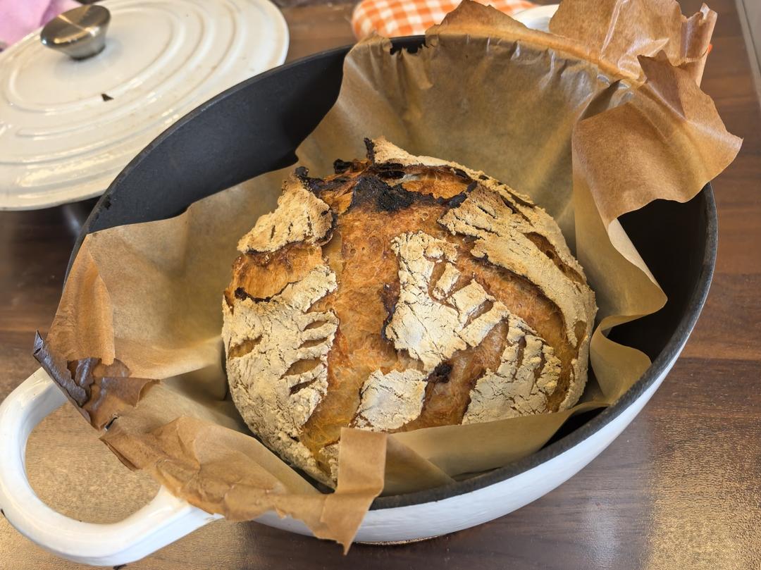 外脆内软不用揉面的乡村面包
