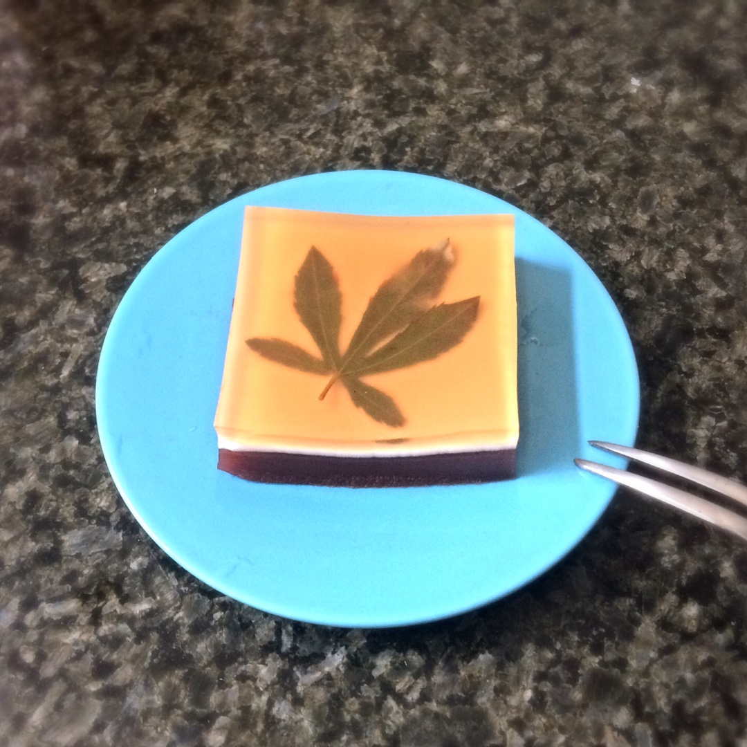 樱花羊羹
