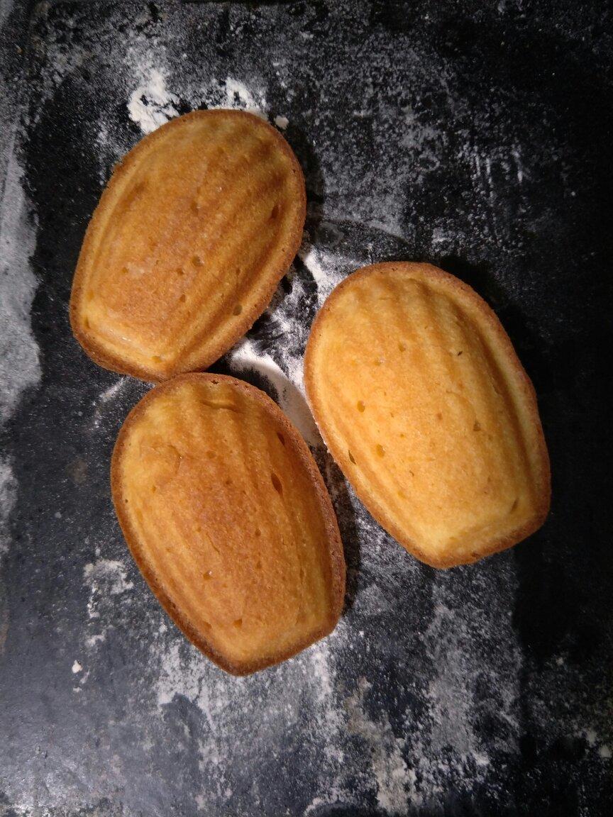 橙子芝士旅行蛋糕