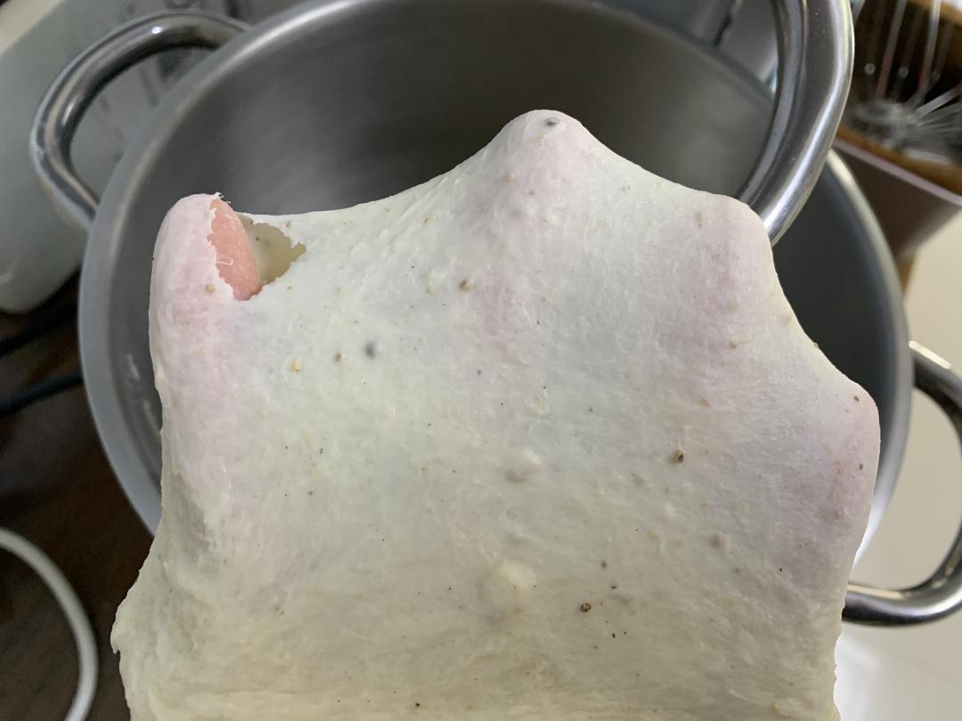 纯奶手撕吐司的做法 步骤1