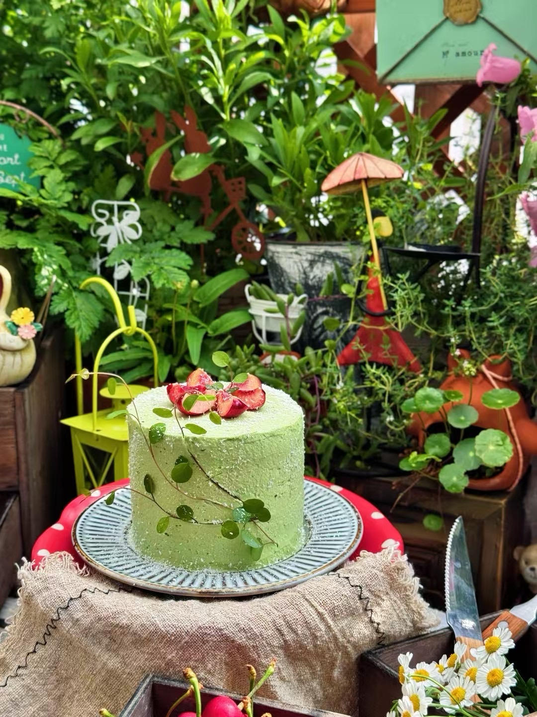 八寸戚风蛋糕（生日蛋糕坯）附六寸配单