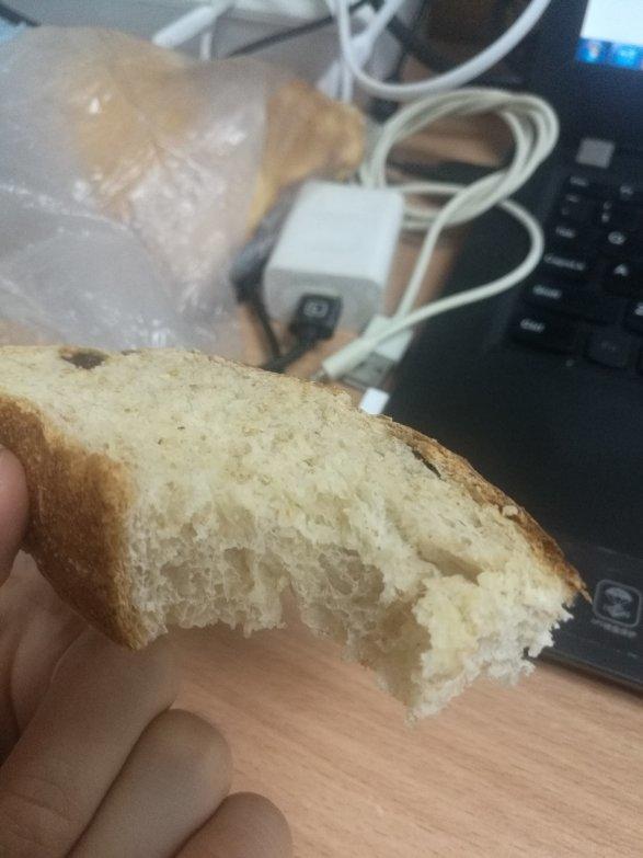 全麦核桃蔓越莓欧包（附整形详细手法）