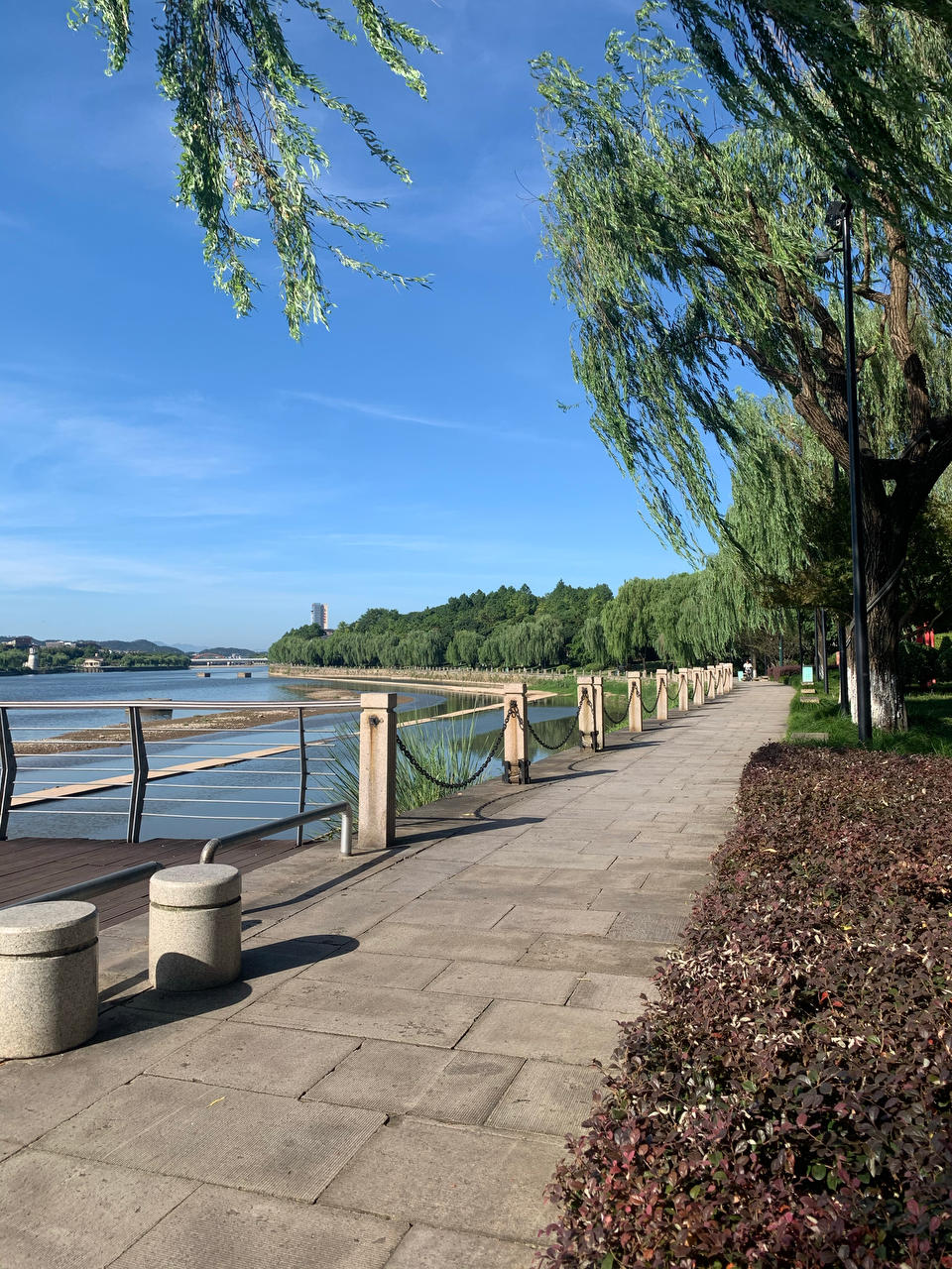 勤劳的小蜜蜂cc1