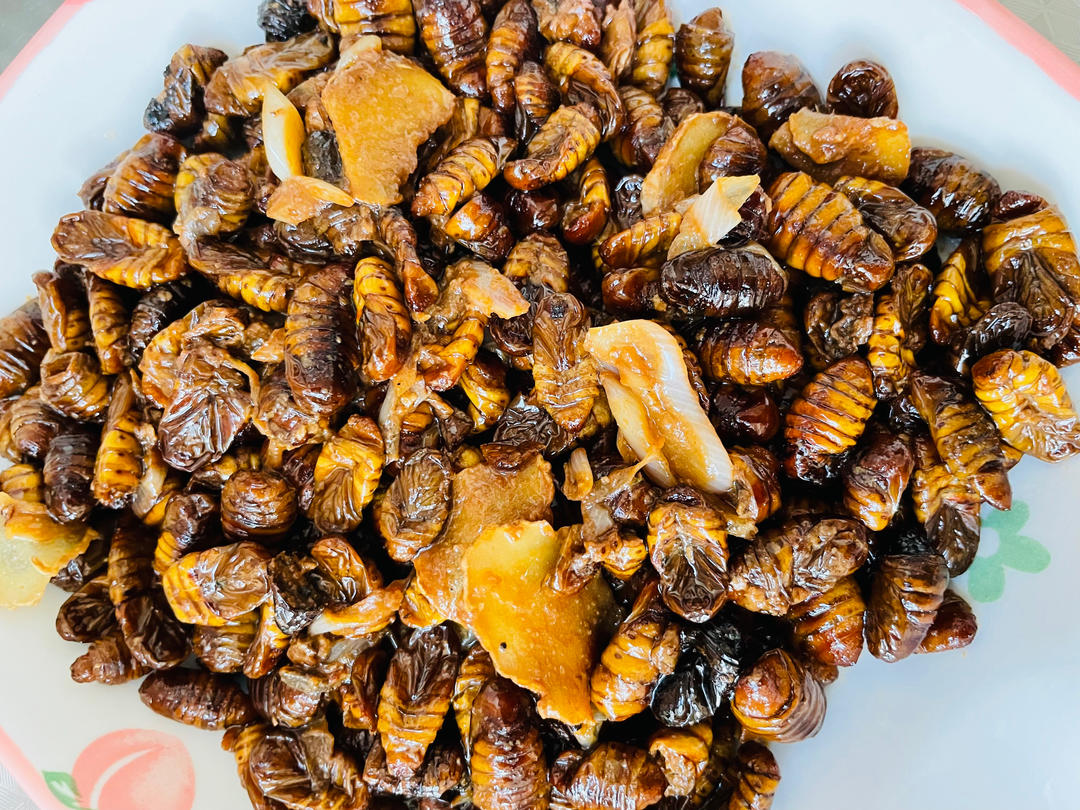炒蚕蛹