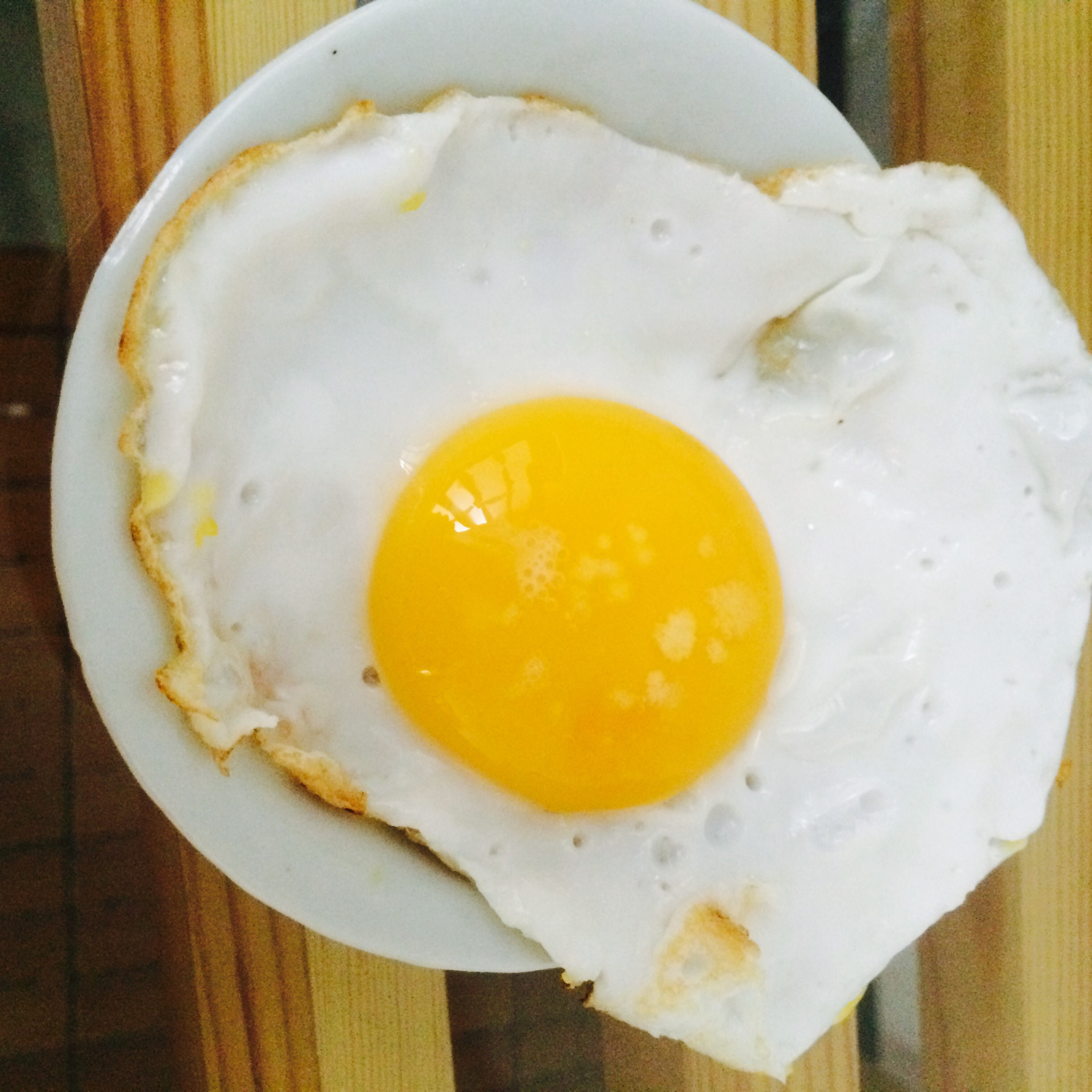 【熊记】太阳蛋