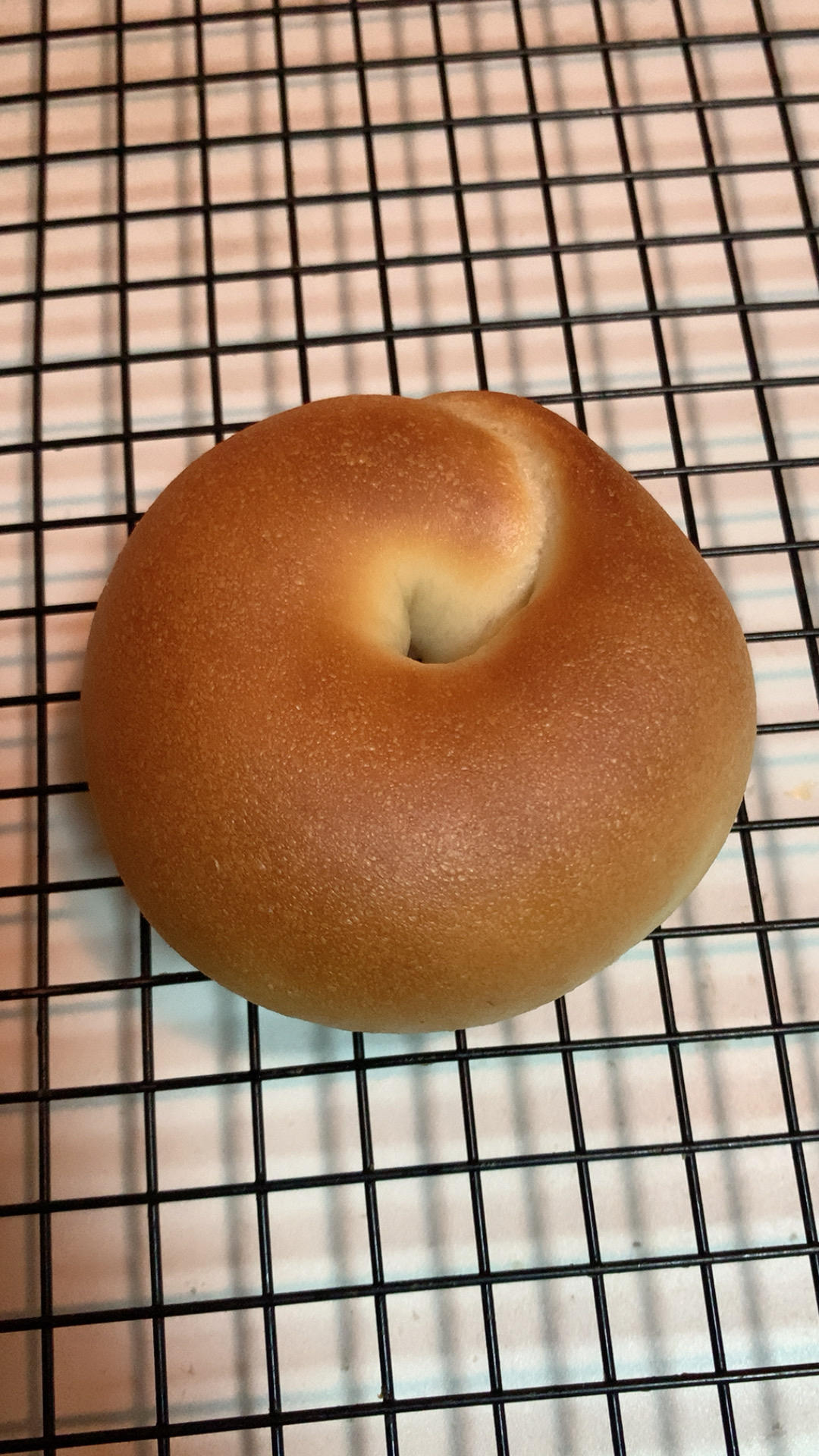 全麦贝果🥯