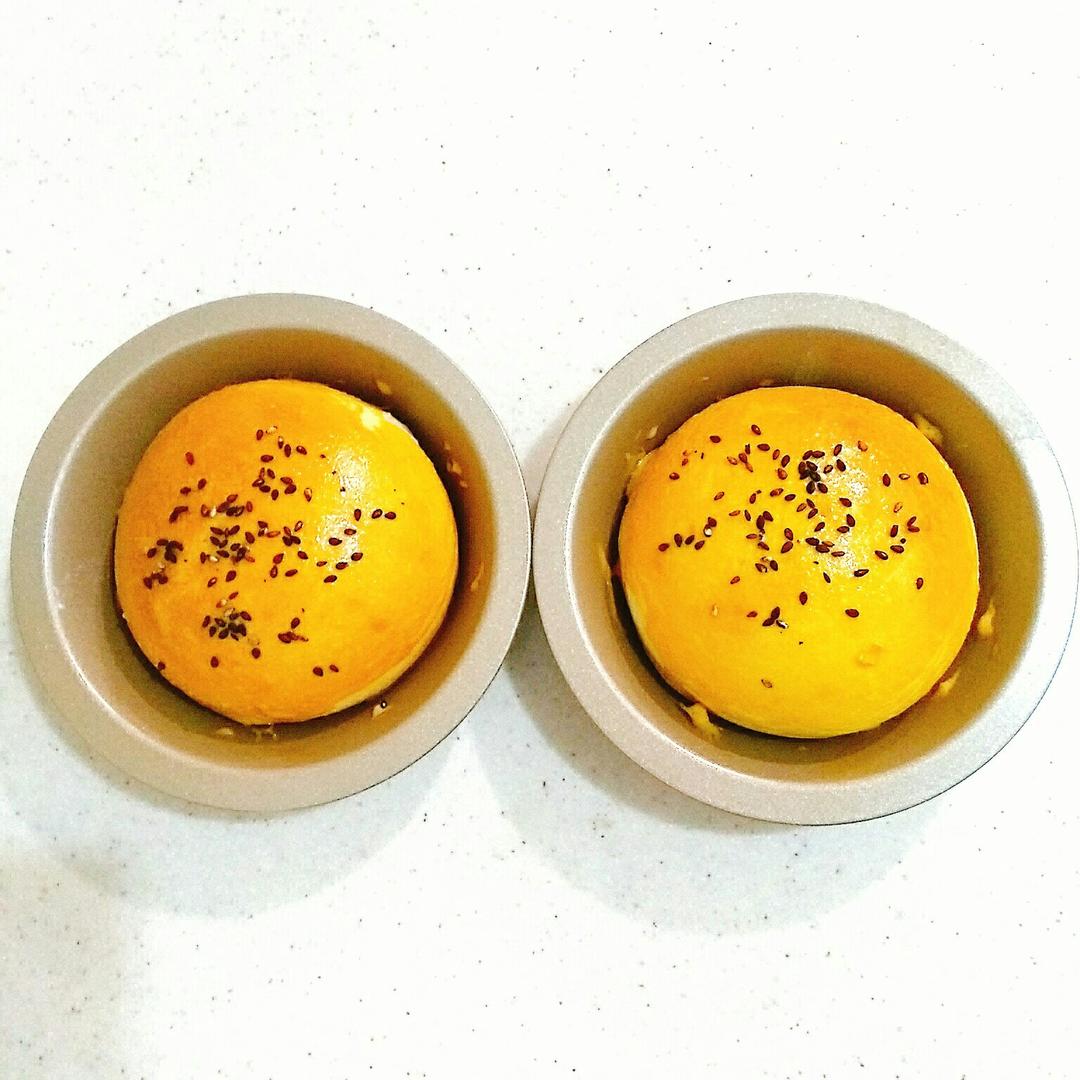 汉堡胚（中种法）