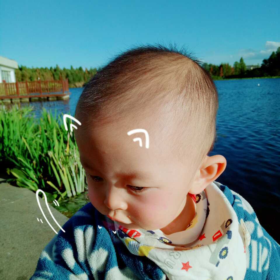 吃瓜群众三号