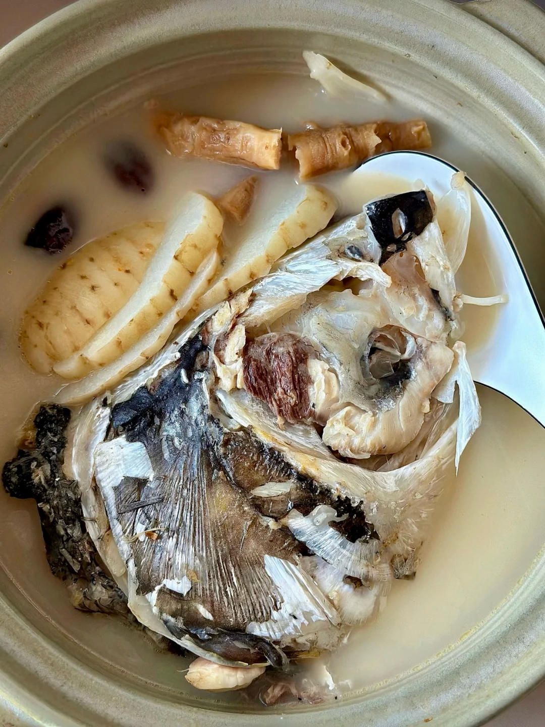 经常偏头疼的，建议试试这碗天麻炖汤！！