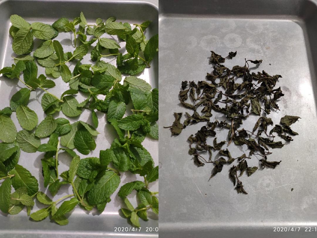 自制薄荷茶叶