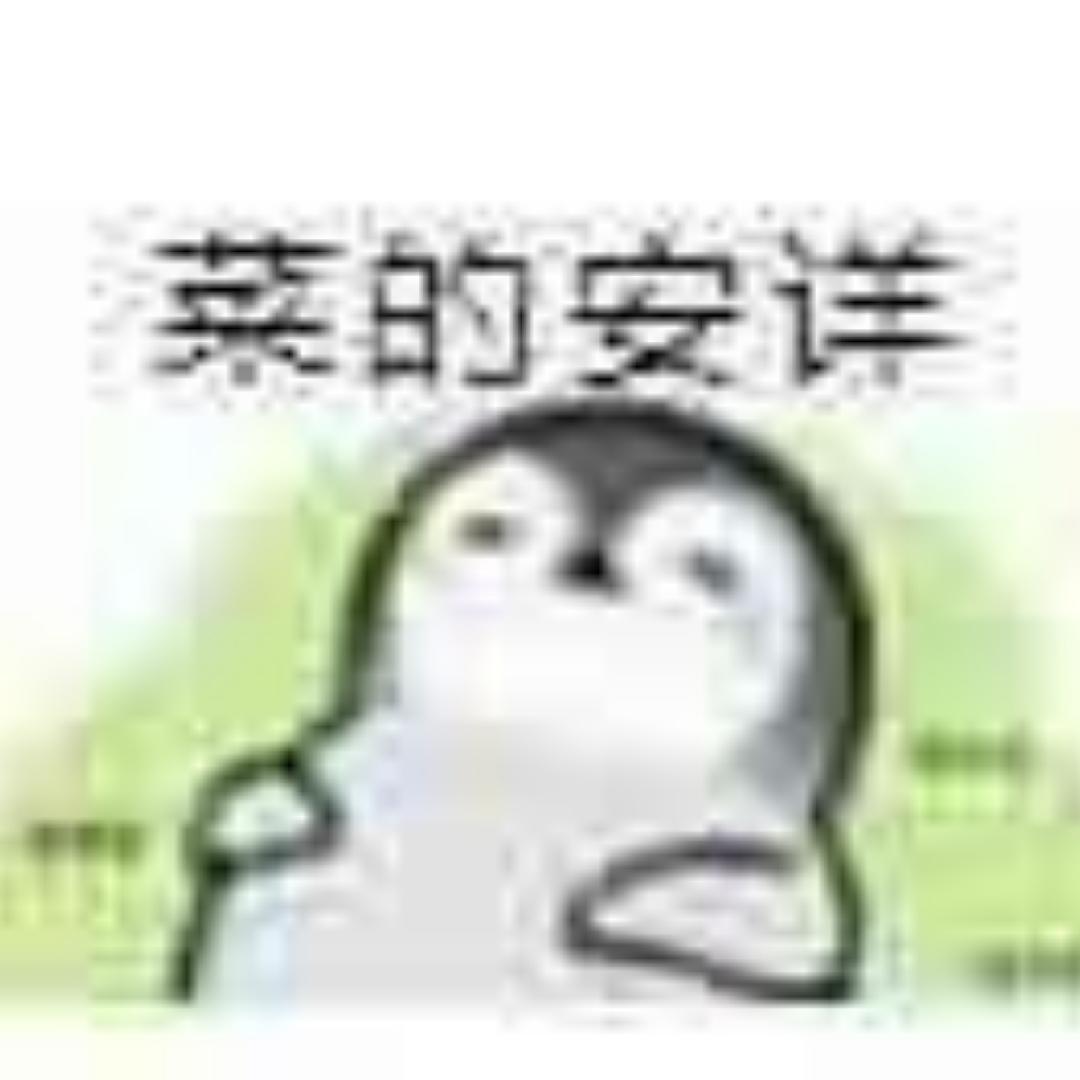 非典型炸鸡和炒饭爱好者