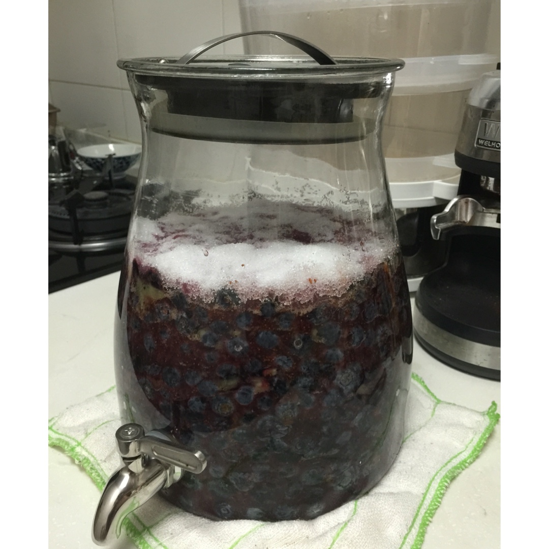 qiaofay做的自制甜蜜蓝莓酒